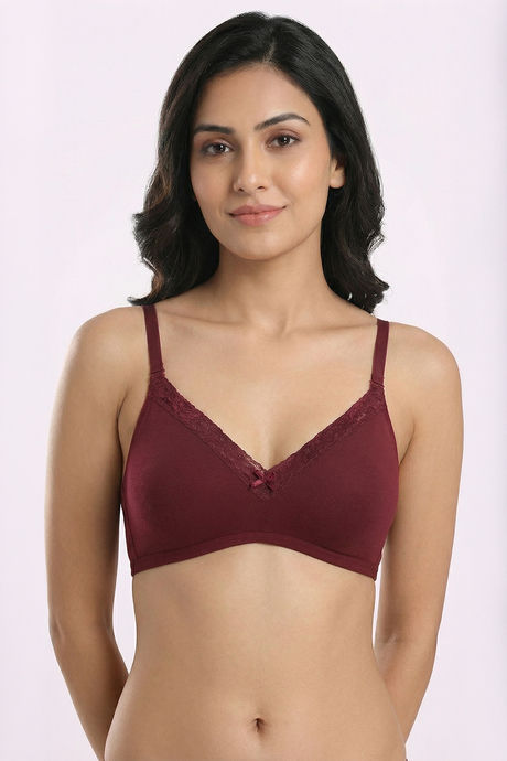 Zivame Padded Non Wired 3/4th Coverage Tshirt Bra - Tawny Port — image 3